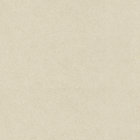 Caesarstone 2220-Ivory