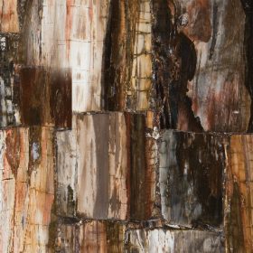 8331-Petrified-Wood-Classic