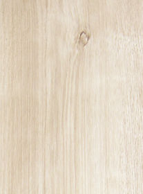 Northern-Maple