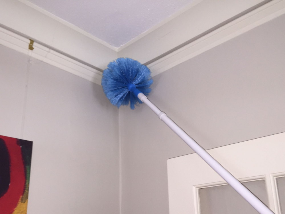 Cobweb-Corner-Deep Clean