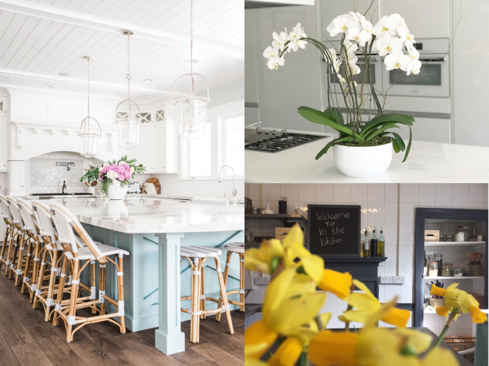 Flowers In Kitchen